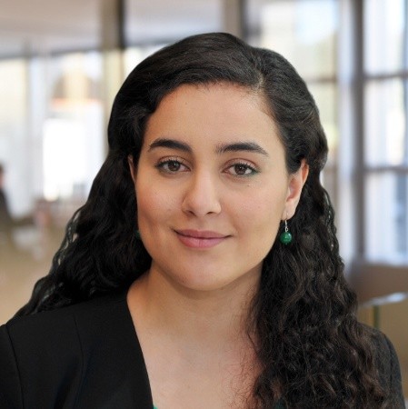 Neila Zerguini