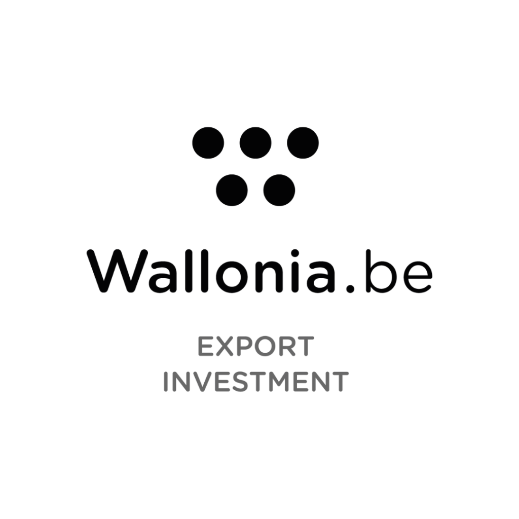 Digital Wallonia